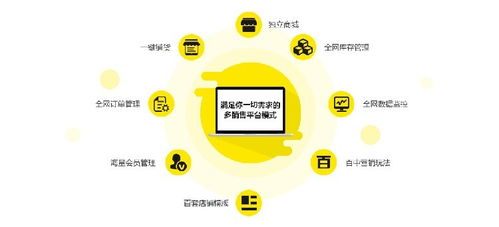 保亭青岛鼠标网站公司 专业网站建设与小程序搭建，助力上海企业数字化转型